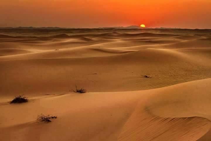 Camp Sahara Holidays M'Hamid Buitenkant foto