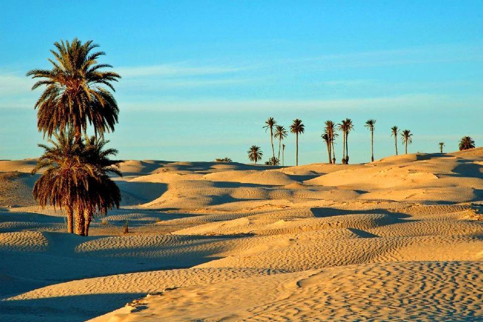 Camp Sahara Holidays M'Hamid Buitenkant foto