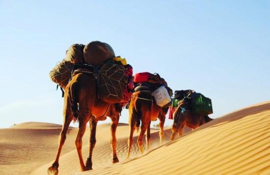 Camp Sahara Holidays M'Hamid Buitenkant foto