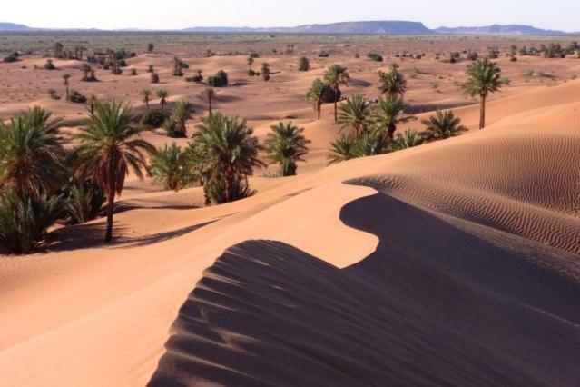 Camp Sahara Holidays M'Hamid Buitenkant foto