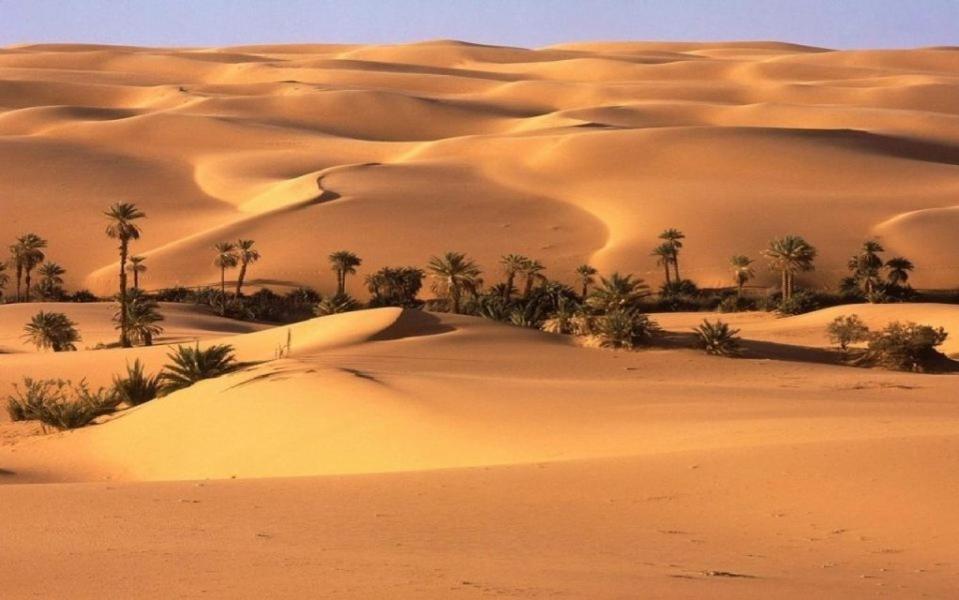 Camp Sahara Holidays M'Hamid Buitenkant foto