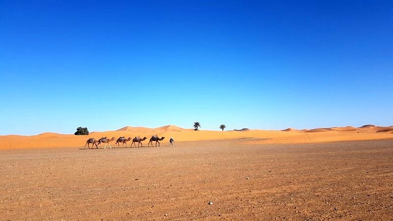 Camp Sahara Holidays M'Hamid Buitenkant foto