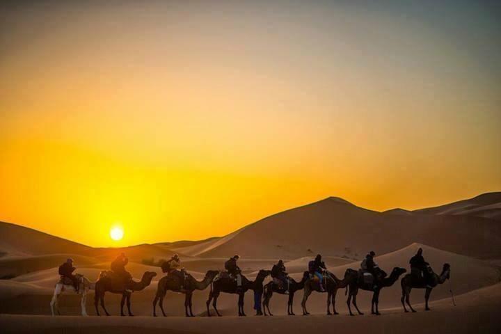 Camp Sahara Holidays M'Hamid Buitenkant foto