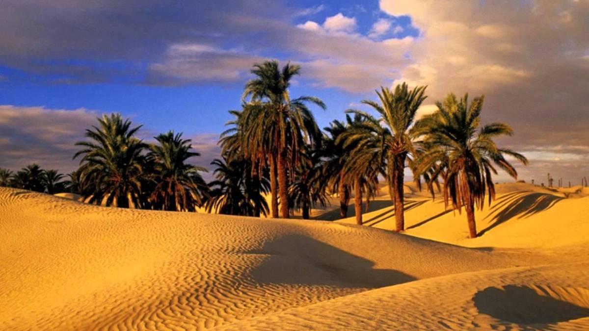 Camp Sahara Holidays M'Hamid Buitenkant foto