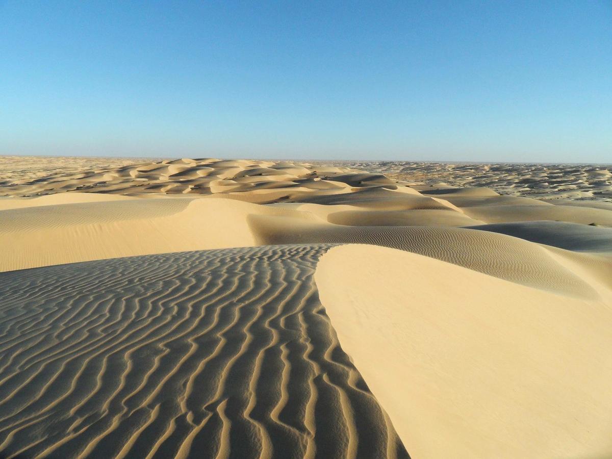 Camp Sahara Holidays M'Hamid Buitenkant foto