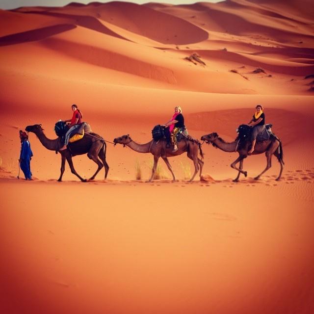 Camp Sahara Holidays M'Hamid Buitenkant foto