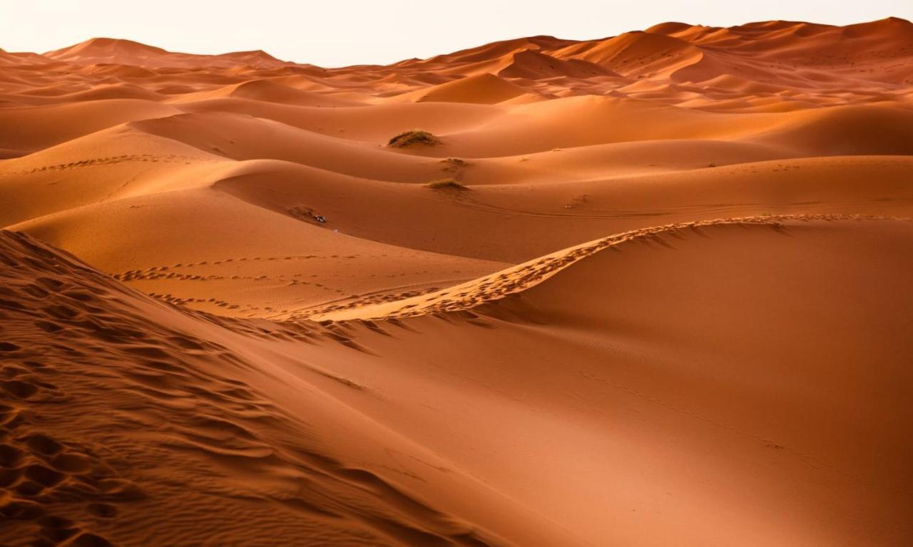 Camp Sahara Holidays M'Hamid Buitenkant foto