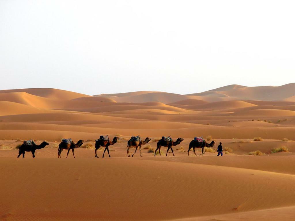 Camp Sahara Holidays M'Hamid Buitenkant foto
