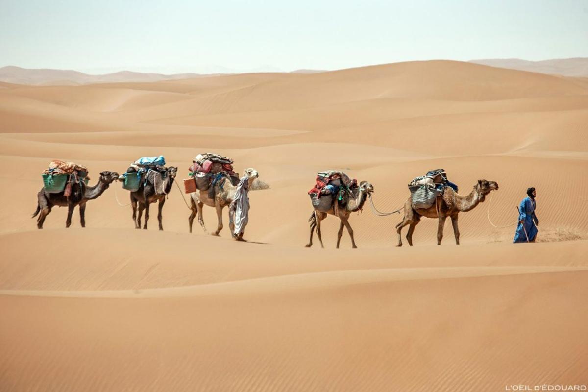 Camp Sahara Holidays M'Hamid Buitenkant foto