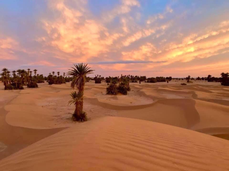 Camp Sahara Holidays M'Hamid Buitenkant foto